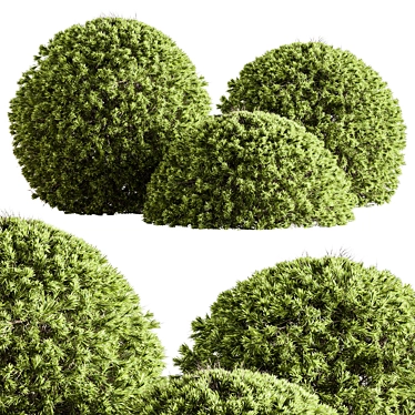 Handcrafted Topiary Ball Bush 3D model image 1 