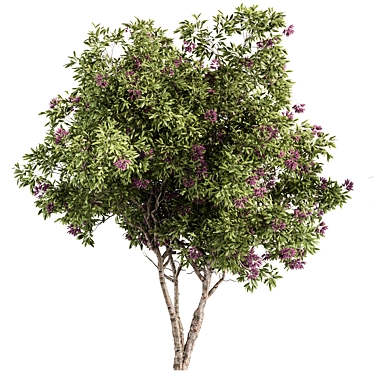 Oleander Tree Set 229 3D model image 1 