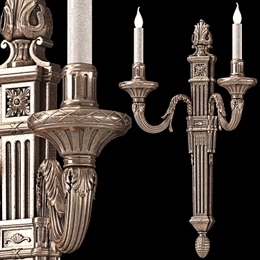 Louis XVI Noir et Argent Wall Light 3D model image 1 