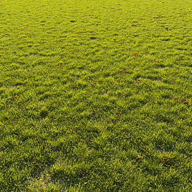 Autumn Grass Scatter Set 3D model image 1 