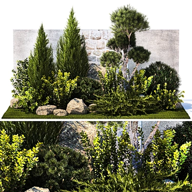 Urban Greenery Collection: Conifers, Shrubs, Bonsai 3D model image 1 