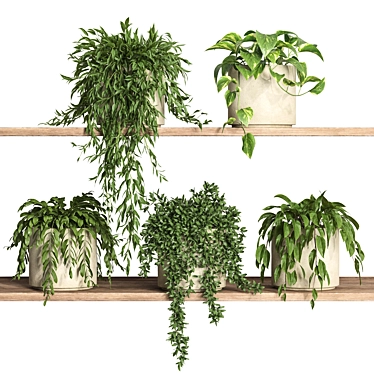 Botanical Oasis Shelf Display 3D model image 1 