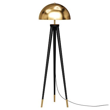 Designer Floor Lamp COYOTE 3D model image 1 