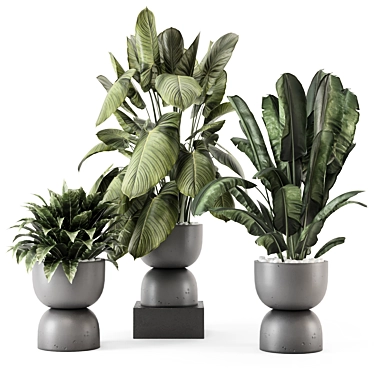  Indoor Plants in Rusty Concrete Pot Set 3D model image 1 