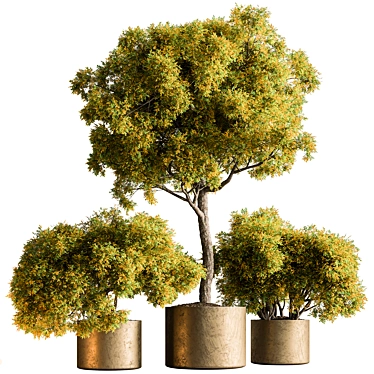 Botanical Bliss: Tree in Pot 3D model image 1 