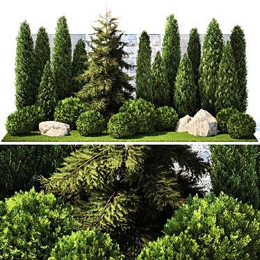 Landscape Design Plants Collection 3D model image 1 