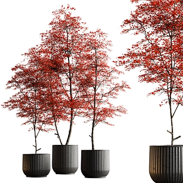 Lush Tree in Ceramic Pot 3D model image 1 