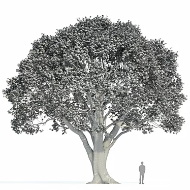 Stone Oak Tree Model 2014 3D model image 1 