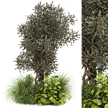 Lush Bush & Tree Set 3D model image 1 