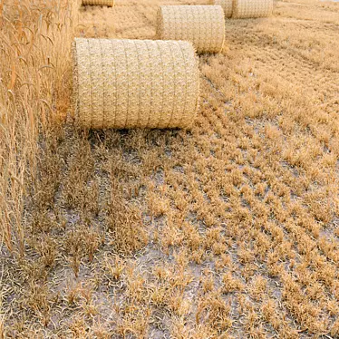 Premium Grass Hay Bale Models 3D model image 1 