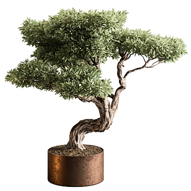 Bonsai Beauty: Indoor Plant Elegance 3D model image 1 