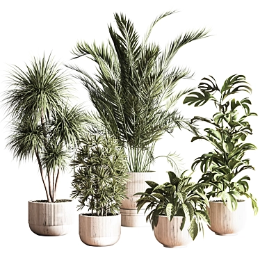 Elegant Indoor Plant Decor Set 3D model image 1 