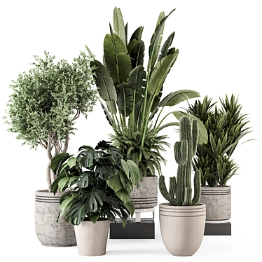 Concrete Pots with Indoor Plants 3D model image 1 