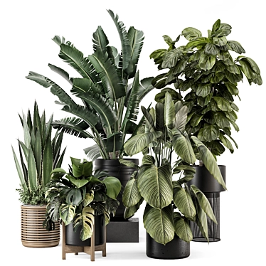 Modern Indoor Plants Set 1740 3D model image 1 