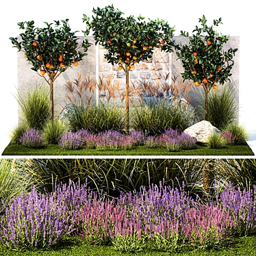 Citrus Collection with Lavender & Ornamental Grasses 3D model image 1 