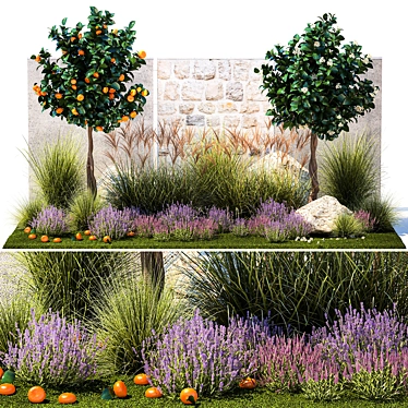 Citrus Garden Collection Set 3D model image 1 