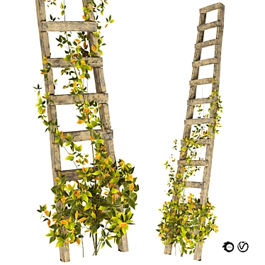 Rustic Ladder with Climbing Vines 3D model image 1 