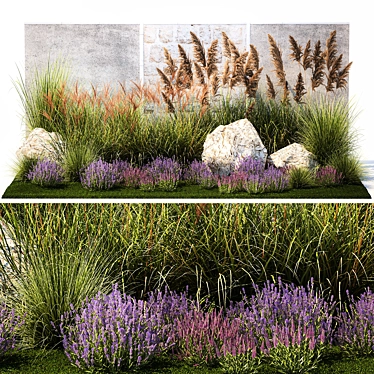 Landscape Plant Collection: Silverberry, Olive, Berberis, Thuja, Hydrangea 3D model image 1 