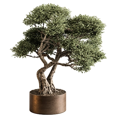 Bonsai Beauty: Indoor Plant 594 3D model image 1 