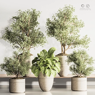 Modern Indoor Plant Set 123 3D model image 1 