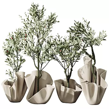 Dwarf Olive Tree Indoor Set 3D model image 1 