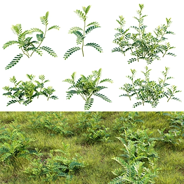 Versatile 3D Plant Modeling Collection 3D model image 1 