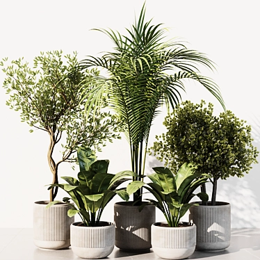 Modern Indoor Plant Set 2016 3D model image 1 