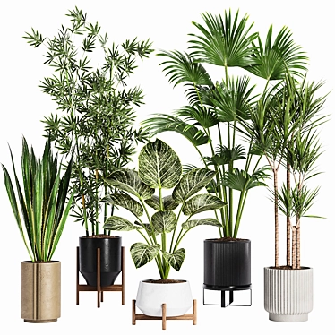 Indoor Plants Set 24