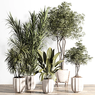 Unique Indoor Plant Set Model. 3D model image 1 