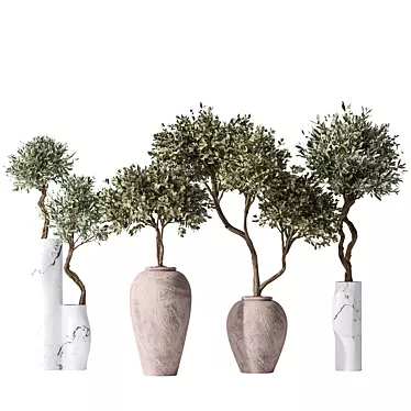 Mission Olive Tree Vase Set 3D model image 1 