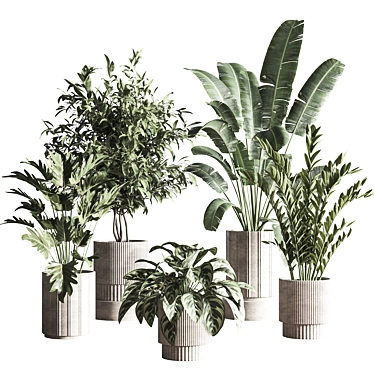  Modern Indoor Plant Set 3D model image 1 