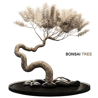 Artistic Bonsai Tree Model 3D model image 1 