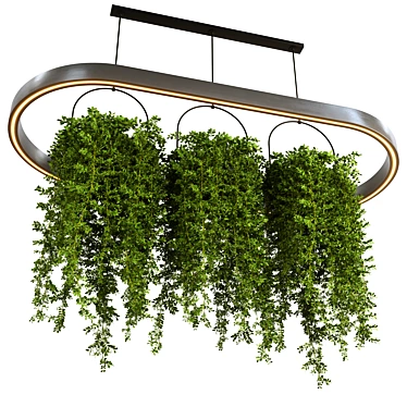 Hanging Plants Set for 3dsMax 3D model image 1 