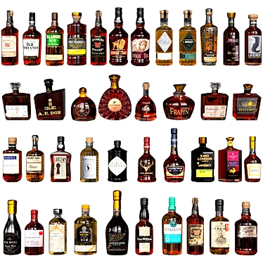 Premium Liquor Bottle Collection 3D Model 3D model image 1 