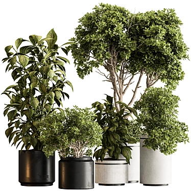 Botanical Elegance: Indoor Tree Display 3D model image 1 