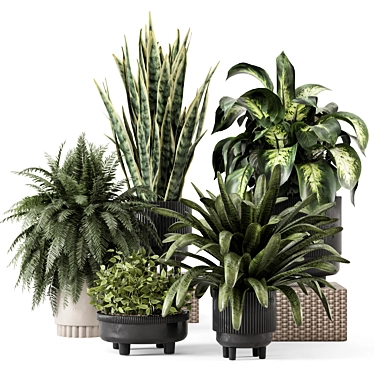 Modern Indoor Planters Set 1803 3D model image 1 