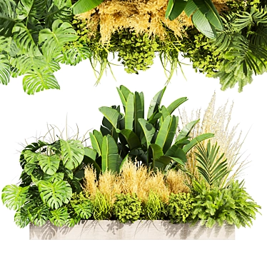 Premium Plant Collection Vol.539 3D model image 1 