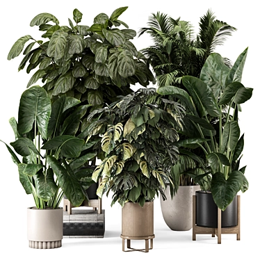 Modern Indoor Plants in Large Bau Pot 3D model image 1 