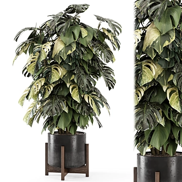 Wood & Stone Indoor Plants Set 3D model image 1 