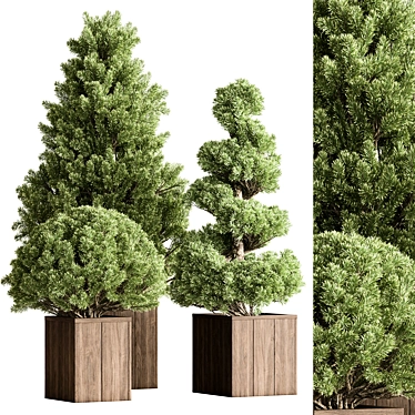 Plum Pines Outdoor Plant 3D model image 1 
