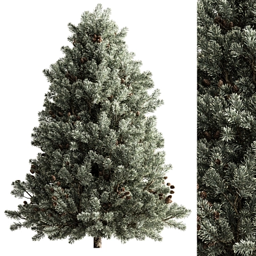 Rocky Mountain Fir Set 267 3D model image 1 