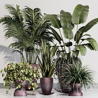 Indoor Variety Plant Set 3D model image 1 