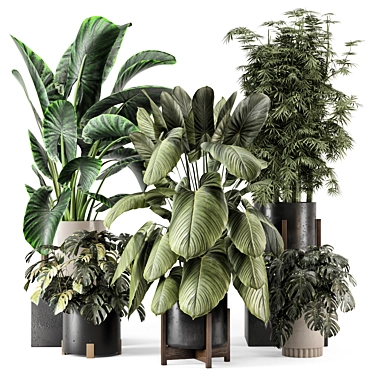 Woodstone Indoor Plant Set 3D model image 1 