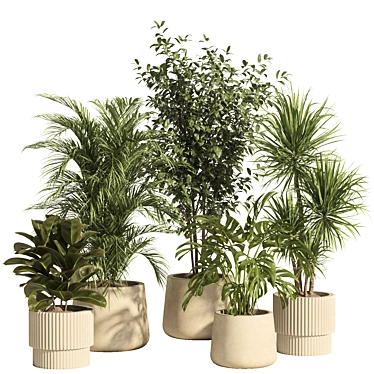 Ceramic & Concrete Indoor Plant Set 3D model image 1 