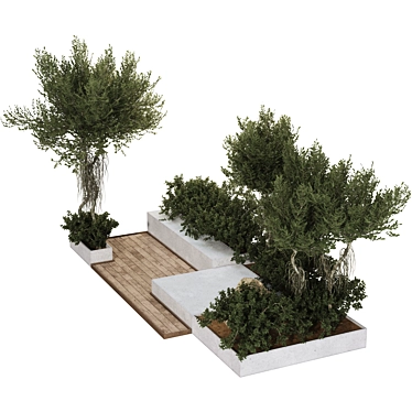 backyard and landscape garden olive tree and bush 240 Corona