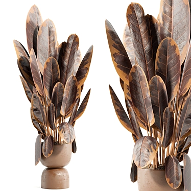 Botanical Beauty Set 89 3D model image 1 