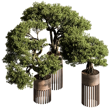 Bonsai Plant 625: Indoor Charm 3D model image 1 