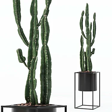 Modern Euphorbia Candelabrum Plant Pot 3D model image 1 