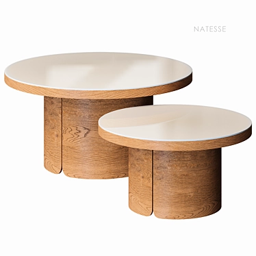 Natesse Coffee Table Set La Redoute 3D model image 1 