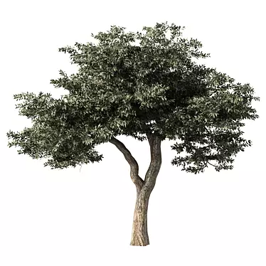 Sculpted Tree No.58 Miniature Figurine 3D model image 1 